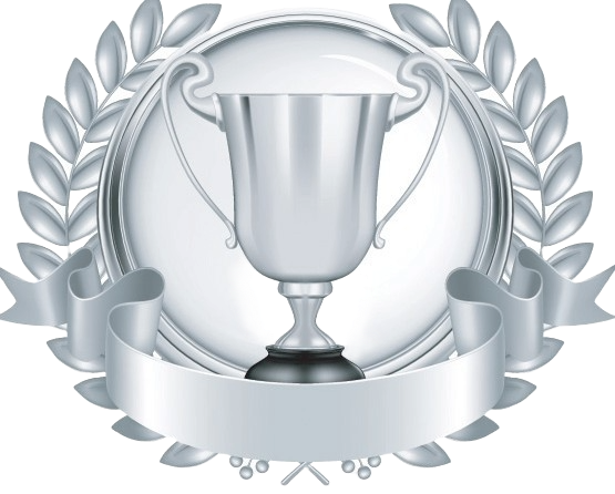 Platinum Medal Image